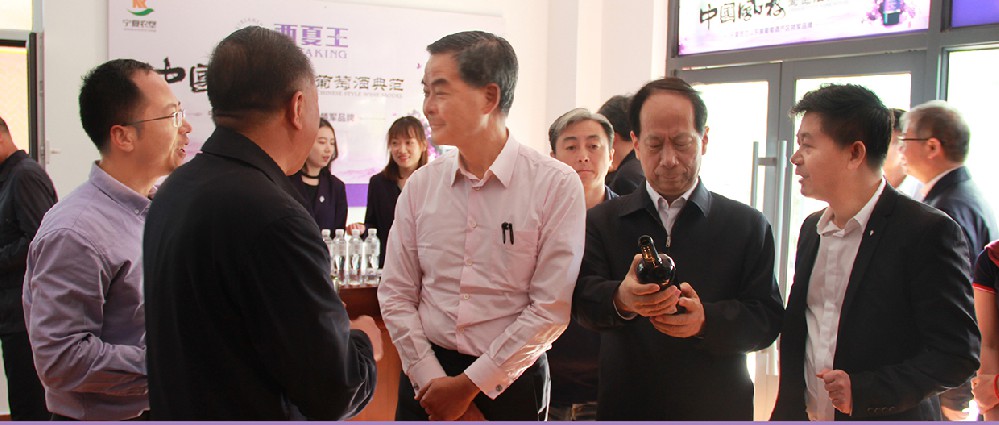 2019年4月21日，全國政協副主席梁正英、時任寧夏黨委書記石泰峰蒞臨西夏王考察指導。